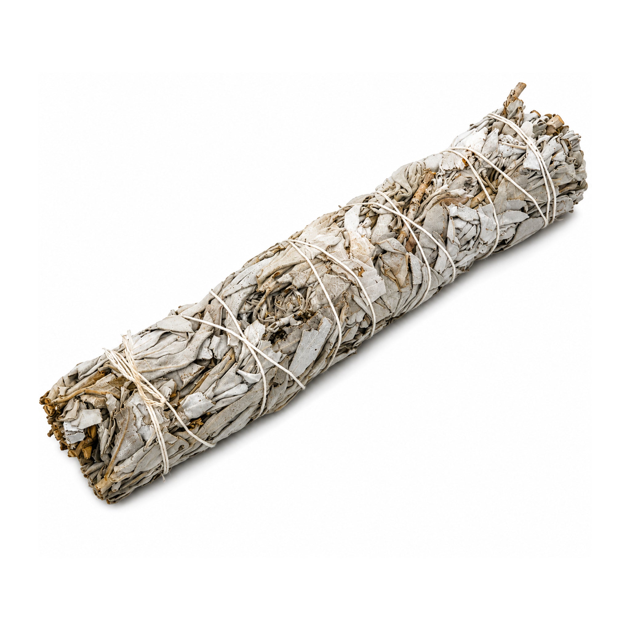 White Sage / Smudge Bundle / 10" / Deep Cleansing & Spiritual Healing